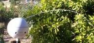 AccuRain watering orange tree